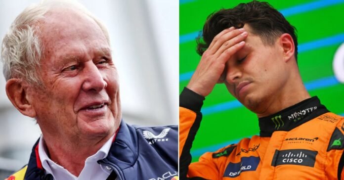 Helmut Marko believes the Brazilian GP shows why Lando Norris isn't ready to become champions | Credits: GPblog.com and F1.com