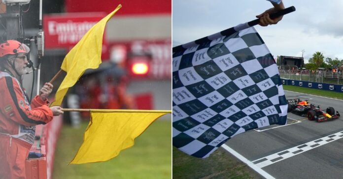 There a ten different flags in F1 | Credits: PLanetF1 and F1